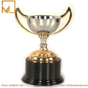 Double Handle Brass Metal Trophy